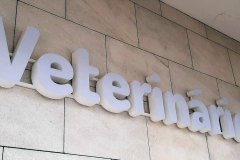 letras-monobloco-vet